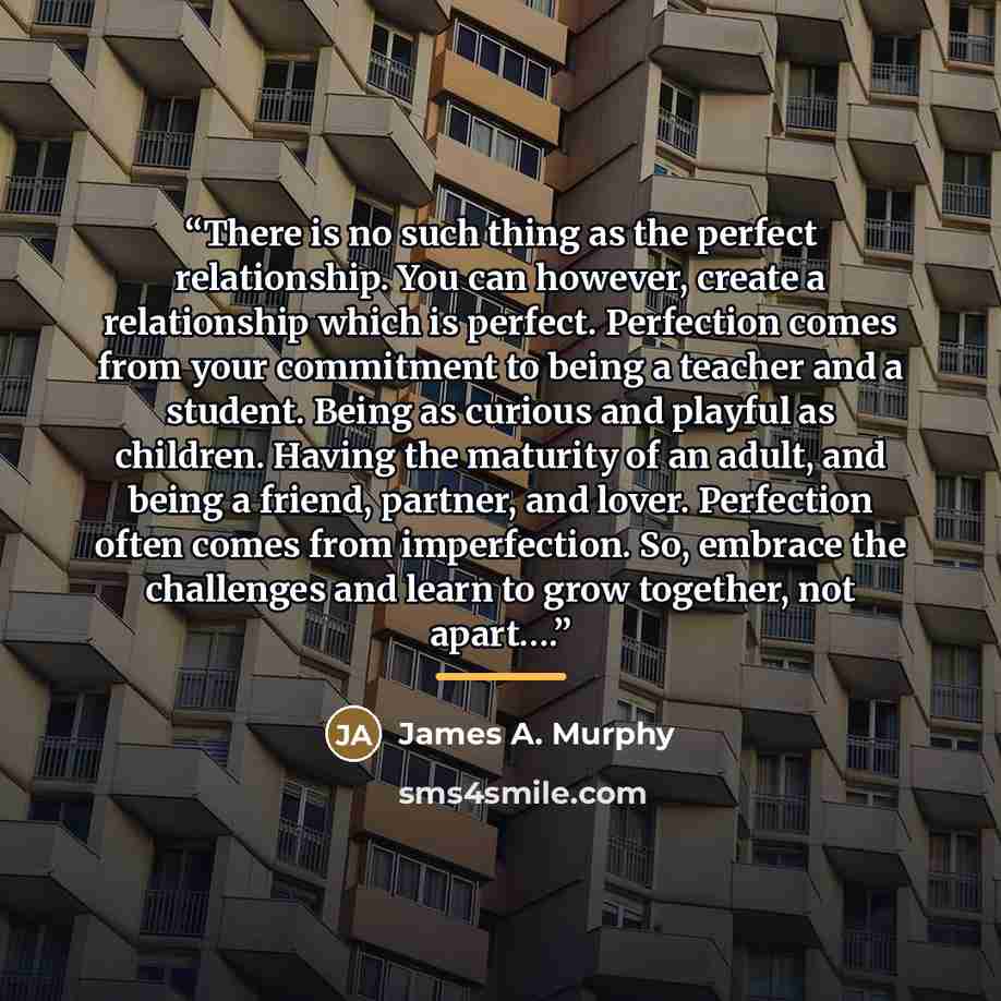 “There is no such thing as the perfect relationship. You can however, create a relationship which is perfect. Perfection comes from your commitment to being a teacher and a student. Being as curious and playful as children. Having the maturity of an adult, and being a friend, partner, and lover…” quote by James A. Murphy