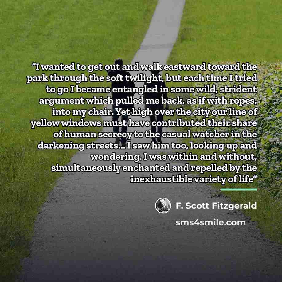 “I wanted to get out and walk eastward toward the park through the soft twilight, but each time I tried to go I became entangled in some wild, strident argument which pulled me back, as if with ropes, into my chair. Yet high over the city our line of yellow windows must have contributed their share…” quote by F. Scott Fitzgerald