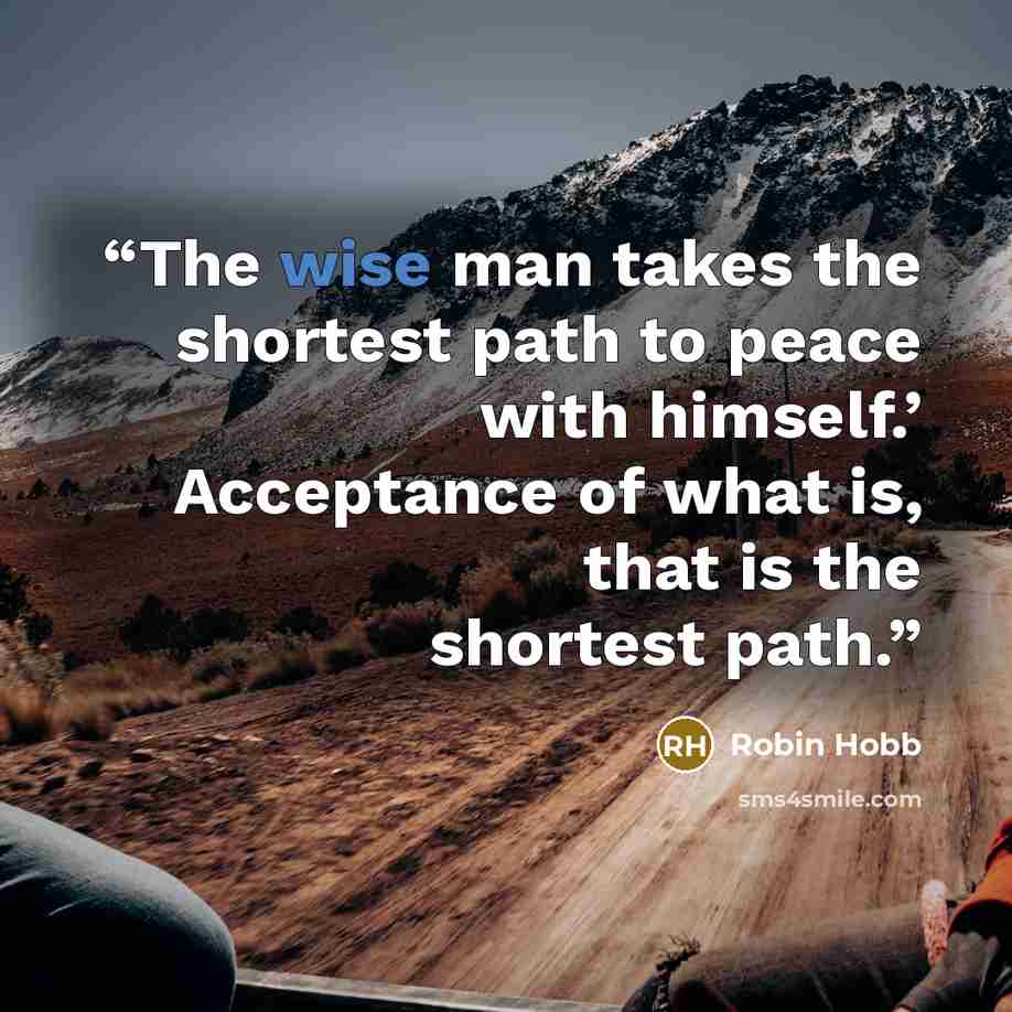 “The wise man takes the shortest path to peace with himself.’ Acceptance of what is, that is the shortest path.” quote by Robin Hobb