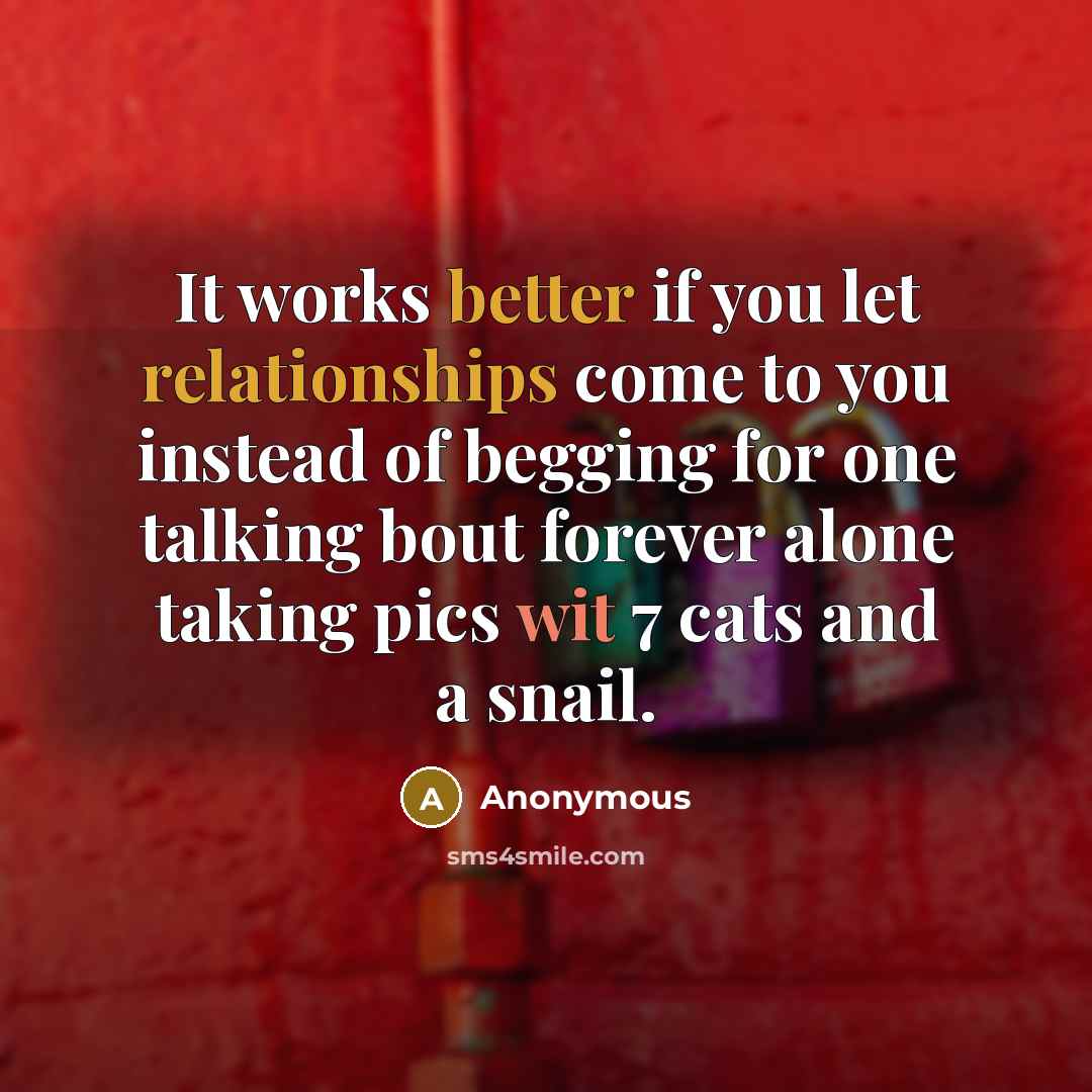 “It works better if you let relationships come to you instead of begging for one talking bout forever alone taking pics wit 7 cats and a snail.” quote by Anonymous