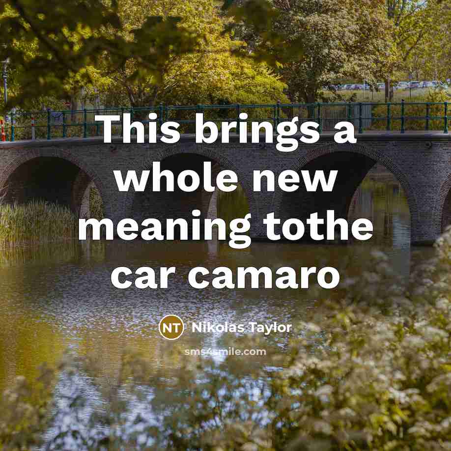 “This brings a whole new meaning tothe car camaro” quote by Nikolas Taylor