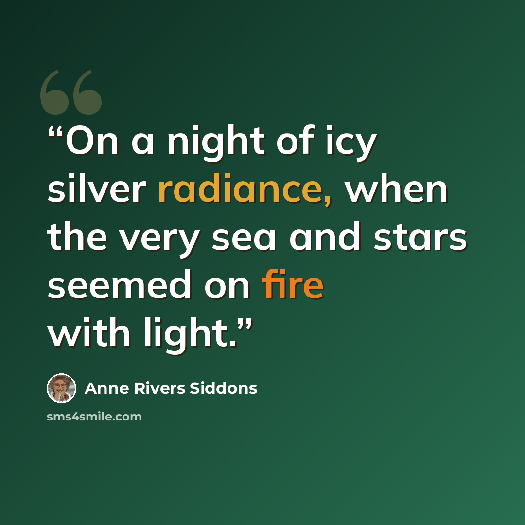 “On a night of icy silver radiance, when the very sea and stars seemed on fire with light.” quote by Anne Rivers Siddons