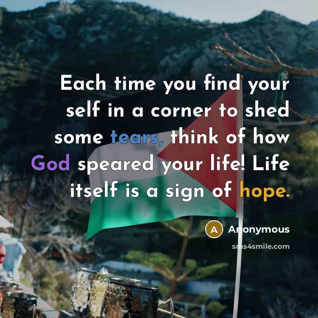 “Each time you find your self in a corner to shed some tears, think of how God speared your life! Life itself is a sign of hope.” quote by Anonymous
