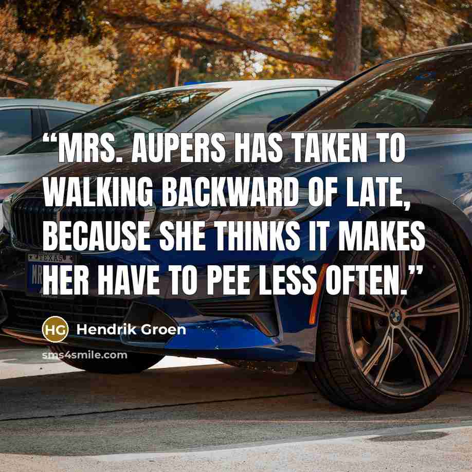 “Mrs. Aupers has taken to walking backward of late, because she thinks it makes her have to pee less often.” quote by Hendrik Groen