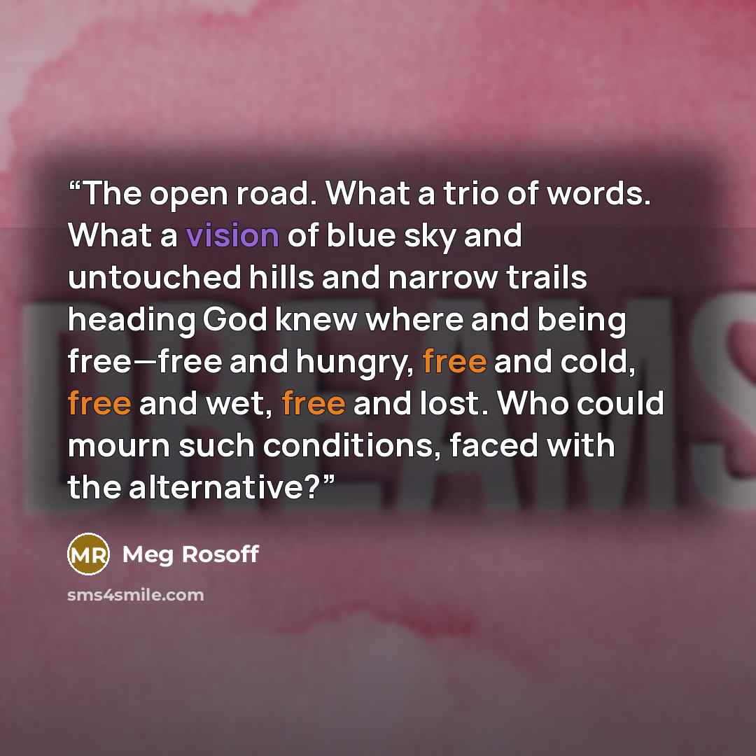 “The open road. What a trio of words. What a vision of blue sky and untouched hills and narrow trails heading God knew where and being free—free and hungry, free and cold, free and wet, free and lost. Who could mourn such conditions, faced with the alternative?” quote by Meg Rosoff