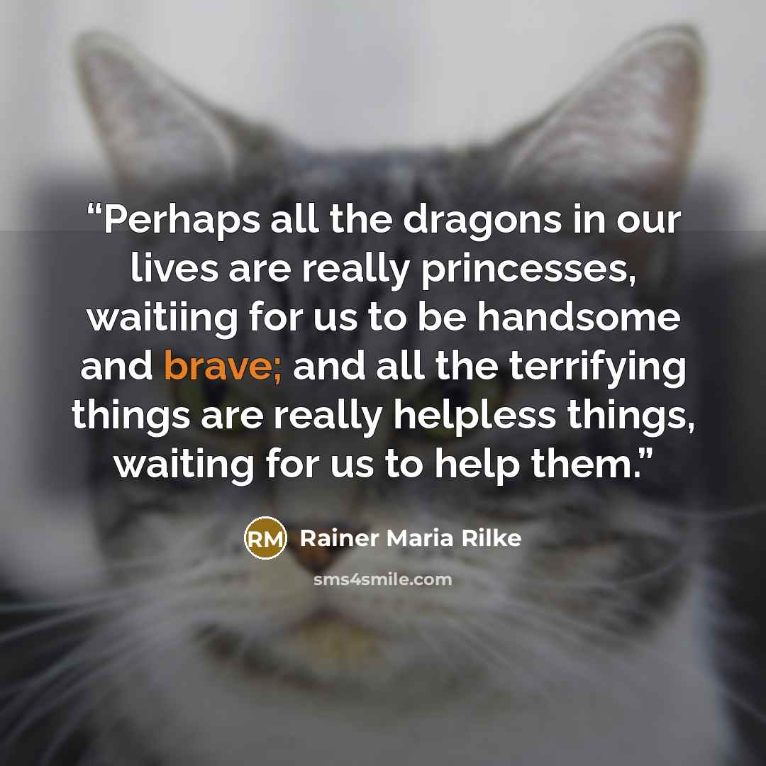 “Perhaps all the dragons in our lives are really princesses, waitiing for us to be handsome and brave; and all the terrifying things are really helpless things, waiting for us to help them.” quote by Rainer Maria Rilke