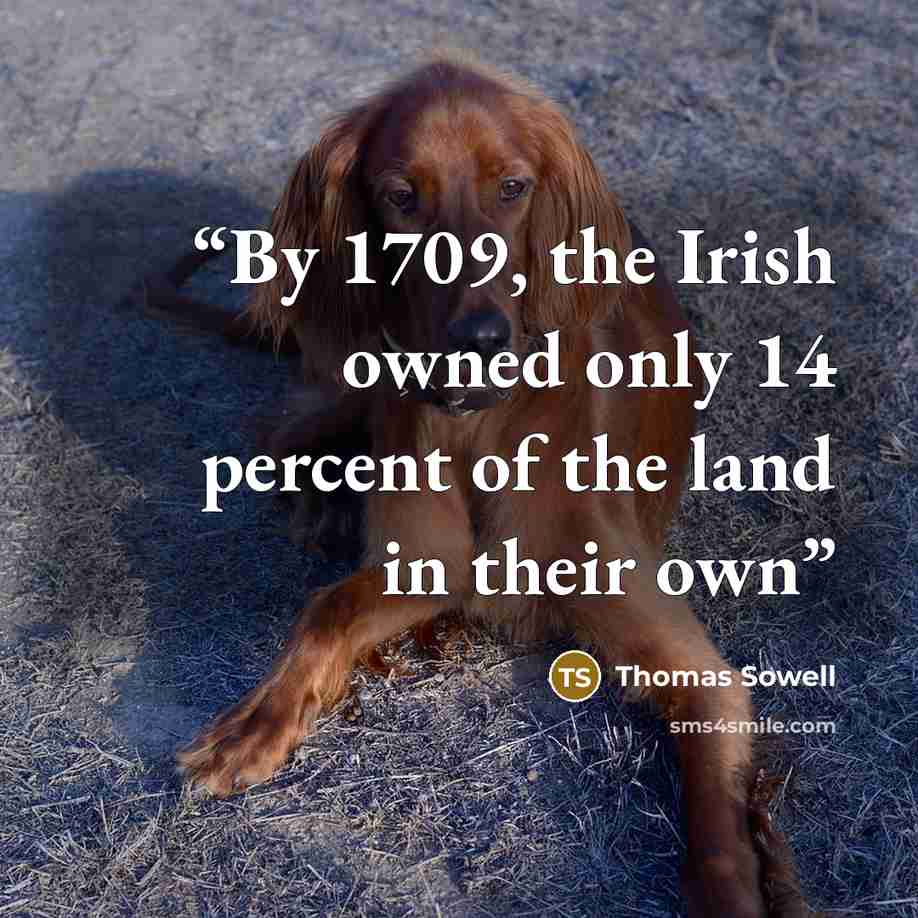 “By 1709, the Irish owned only 14 percent of the land in their own” quote by Thomas Sowell