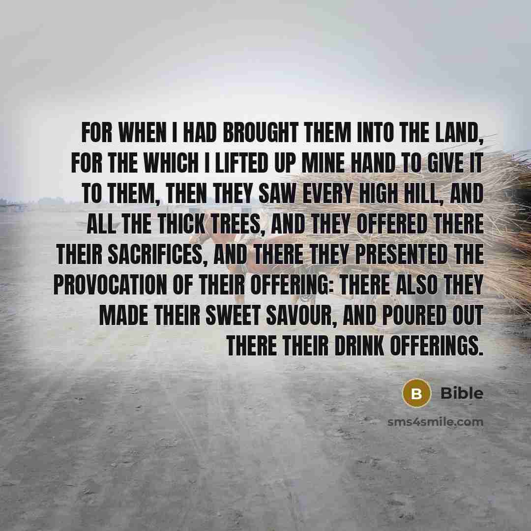 “For when I had brought them into the land, for the which I lifted up mine hand to give it to them, then they saw every high hill, and all the thick trees, and they offered there their sacrifices, and there they presented the provocation of their offering: there also they made their sweet savour…” quote by Bible