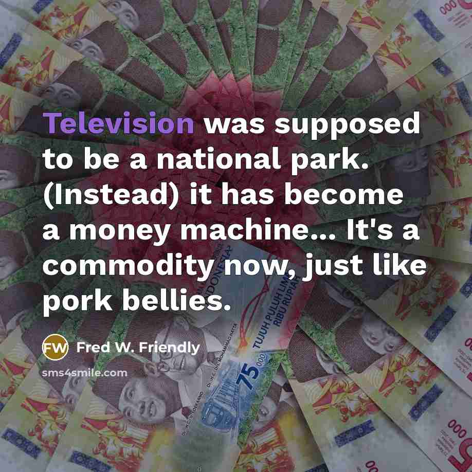 “Television was supposed to be a national park. (Instead) it has become a money machine... It's a commodity now, just like pork bellies.” quote by Fred W. Friendly