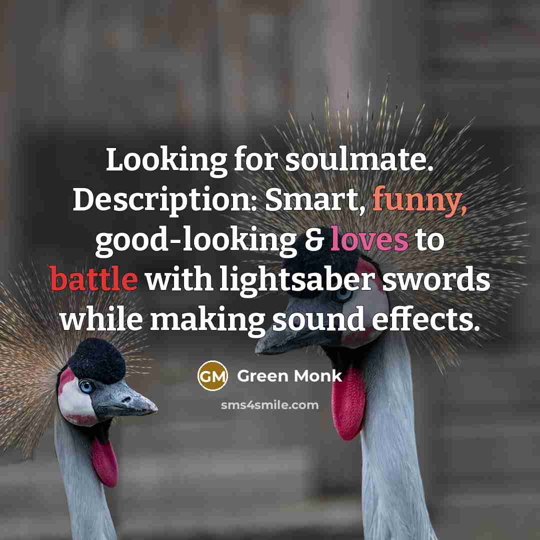 “Looking for soulmate. Description: Smart, funny, good-looking & loves to battle with lightsaber swords while making sound effects.” quote by Green Monk