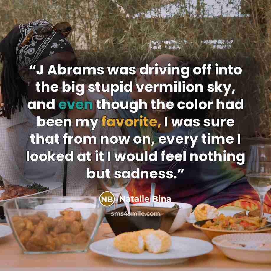 “J Abrams was driving off into the big stupid vermilion sky, and even though the color had been my favorite, I was sure that from now on, every time I looked at it I would feel nothing but sadness.” quote by Natalie Bina