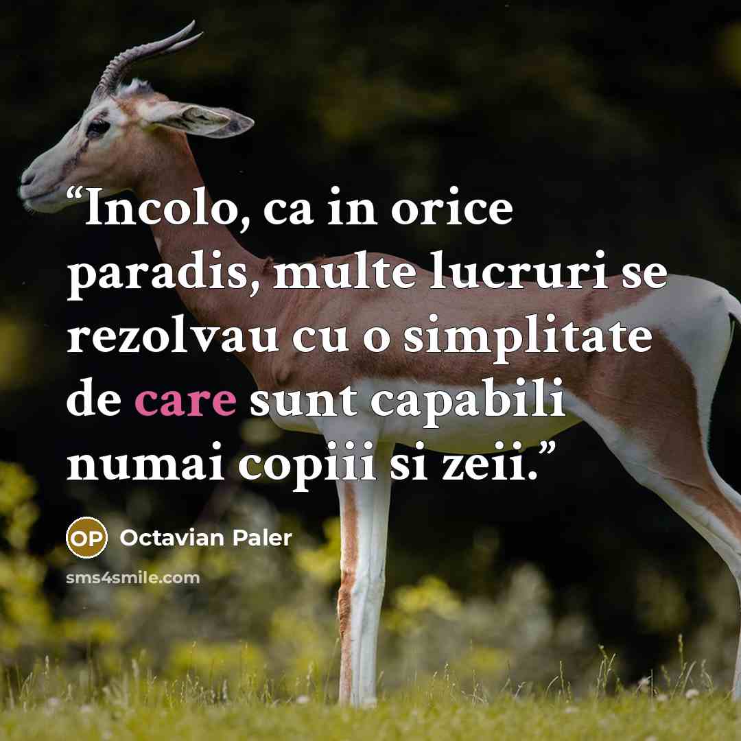 “Incolo, ca in orice paradis, multe lucruri se rezolvau cu o simplitate de care sunt capabili numai copiii si zeii.” quote by Octavian Paler