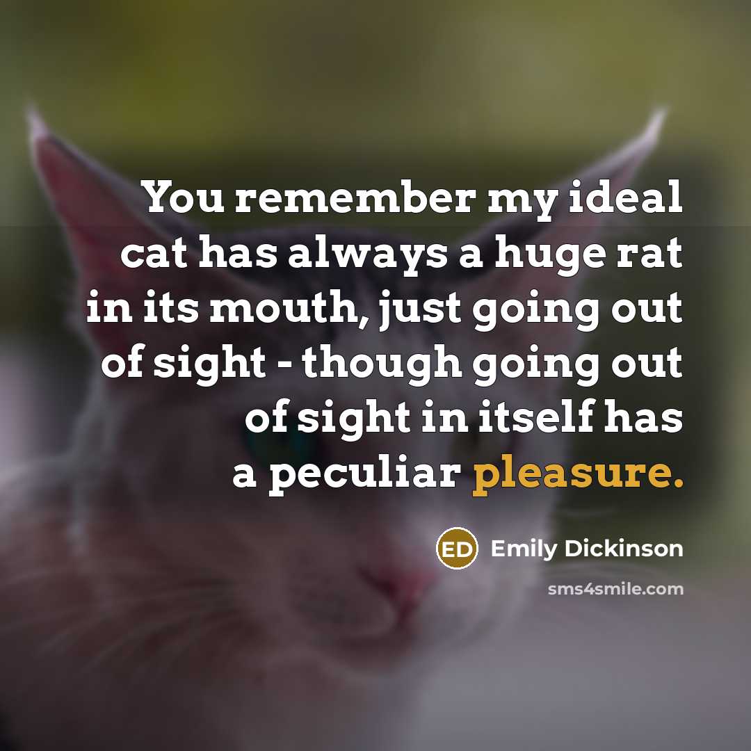 “You remember my ideal cat has always a huge rat in its mouth, just going out of sight - though going out of sight in itself has a peculiar pleasure.” quote by Emily Dickinson
