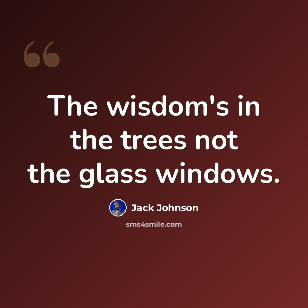 “The wisdom's in the trees not the glass windows.” quote by Jack Johnson