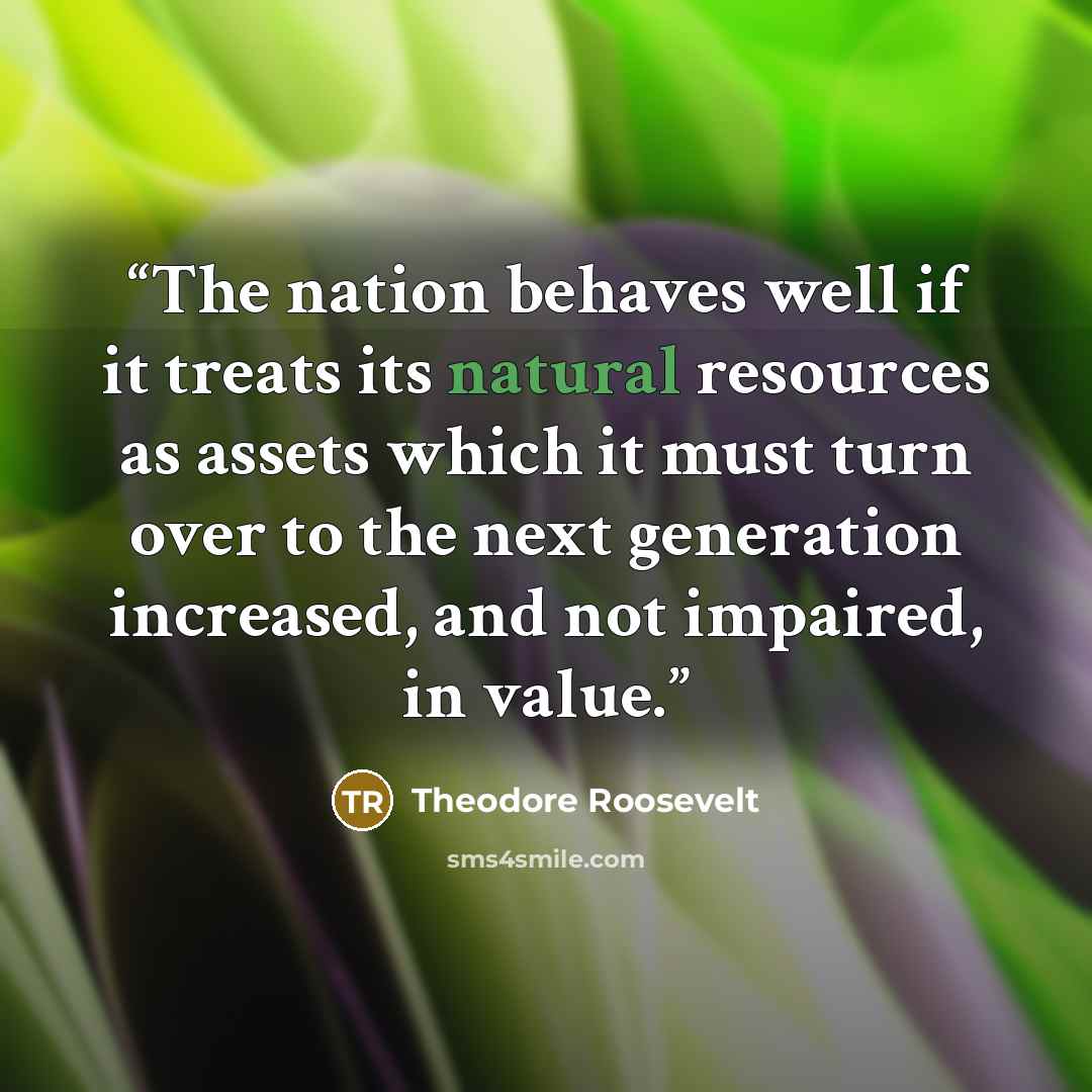 “The nation behaves well if it treats its natural resources as assets which it must turn over to the next generation increased, and not impaired, in value.” quote by Theodore Roosevelt
