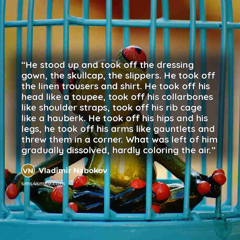 “He stood up and took off the dressing gown, the skullcap, the slippers. He took off the linen trousers and shirt. He took off his head like a toupee, took off his collarbones like shoulder straps, took off his rib cage like a hauberk. He took off his hips and his legs, he took off his arms like…” quote by Vladimir Nabokov