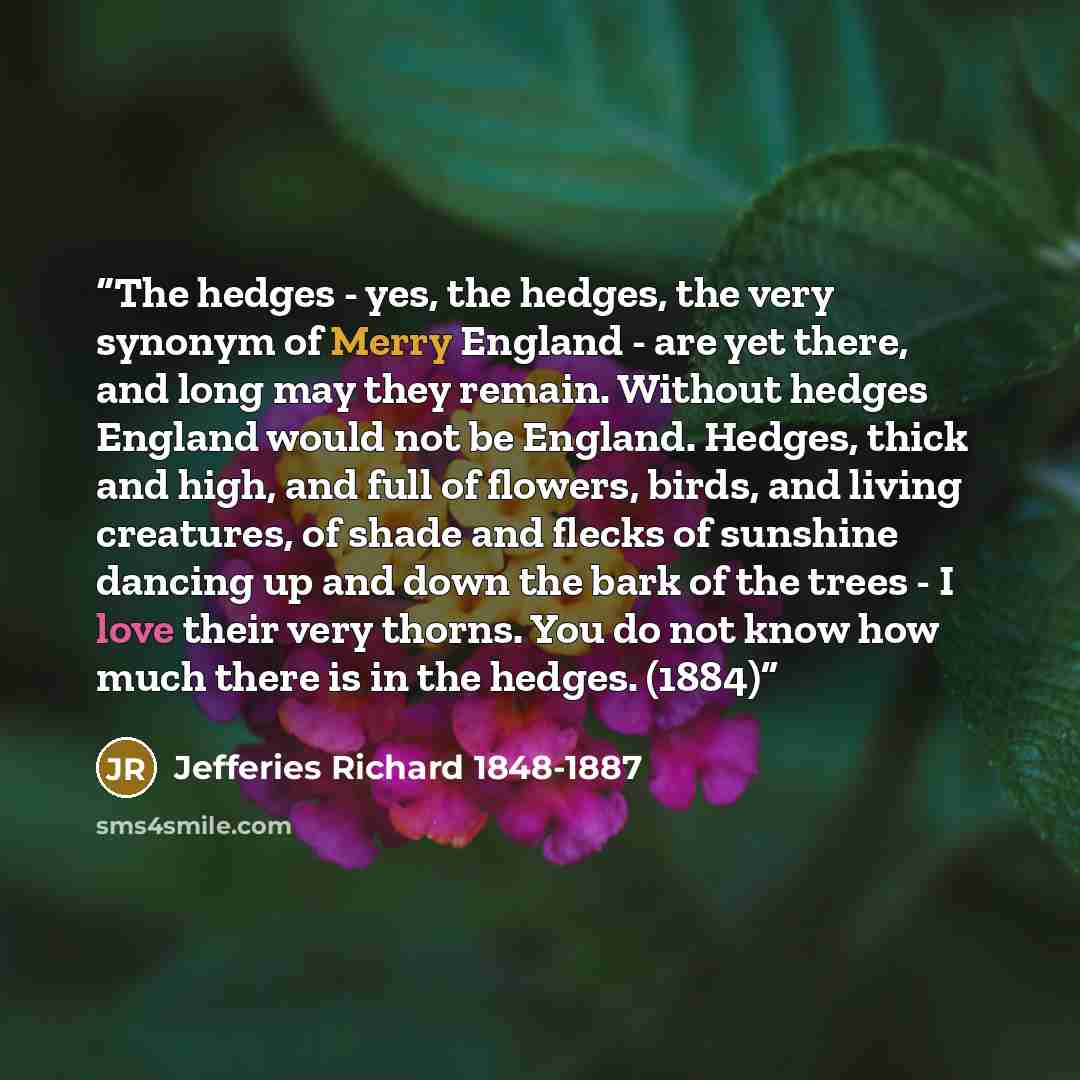 “The hedges - yes, the hedges, the very synonym of Merry England - are yet there, and long may they remain. Without hedges England would not be England. Hedges, thick and high, and full of flowers, birds, and living creatures, of shade and flecks of sunshine dancing up and down the bark of the…” quote by Jefferies Richard 1848-1887