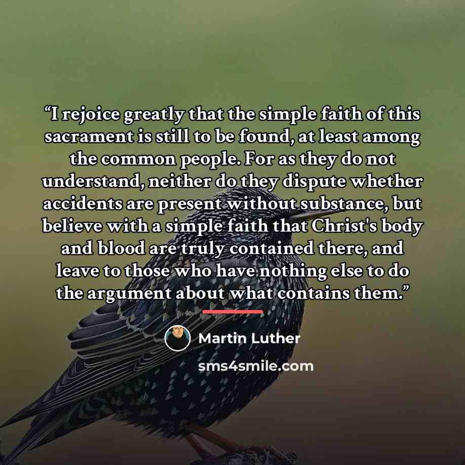 “I rejoice greatly that the simple faith of this sacrament is still to be found, at least among the common people. For as they do not understand, neither do they dispute whether accidents are present without substance, but believe with a simple faith that Christ's body and blood are truly contained…” quote by Martin Luther