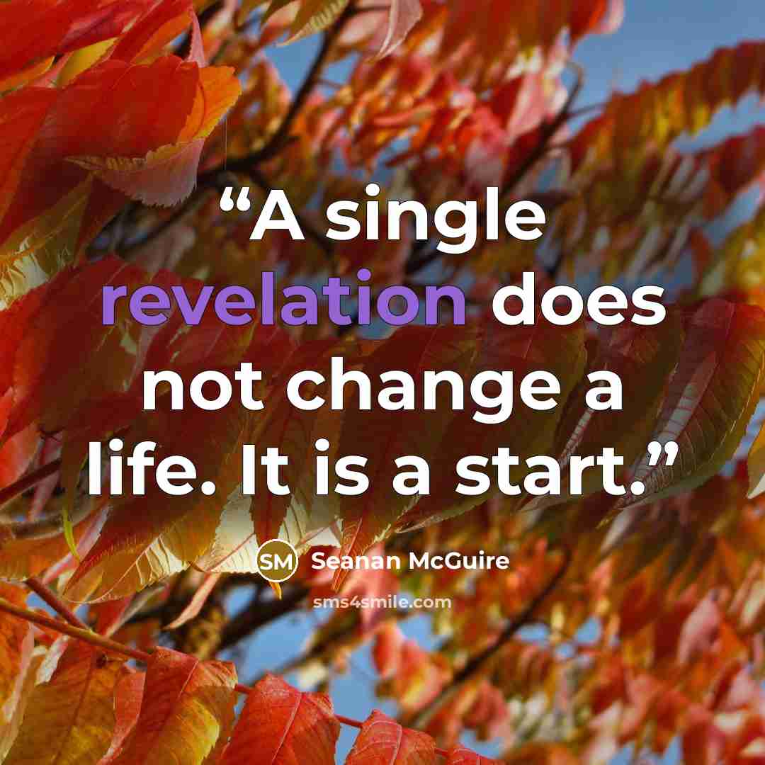 “A single revelation does not change a life. It is a start.” quote by Seanan McGuire