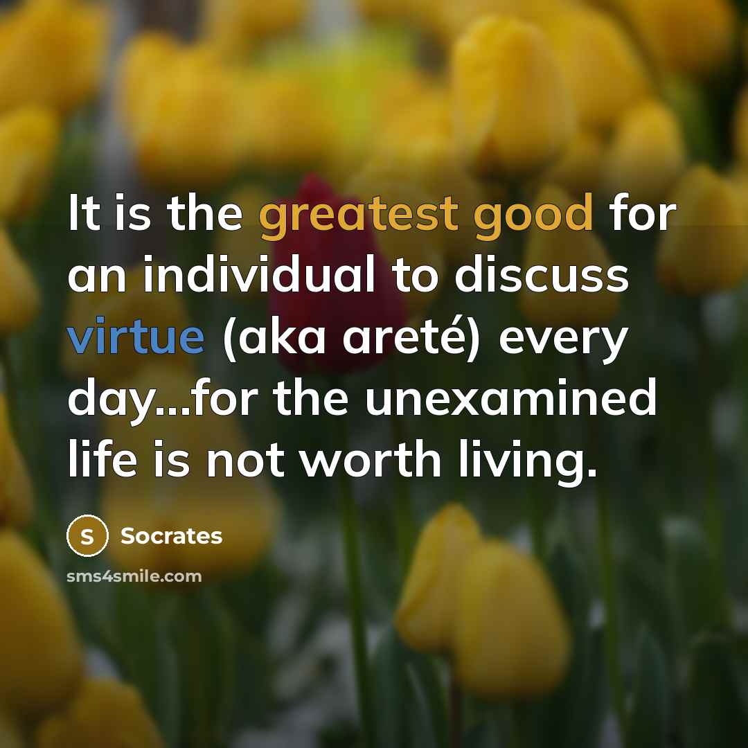 “It is the greatest good for an individual to discuss virtue (aka areté) every day...for the unexamined life is not worth living.” quote by Socrates