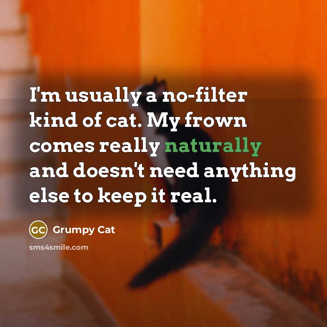 “I'm usually a no-filter kind of cat. My frown comes really naturally and doesn't need anything else to keep it real.” quote by Grumpy Cat