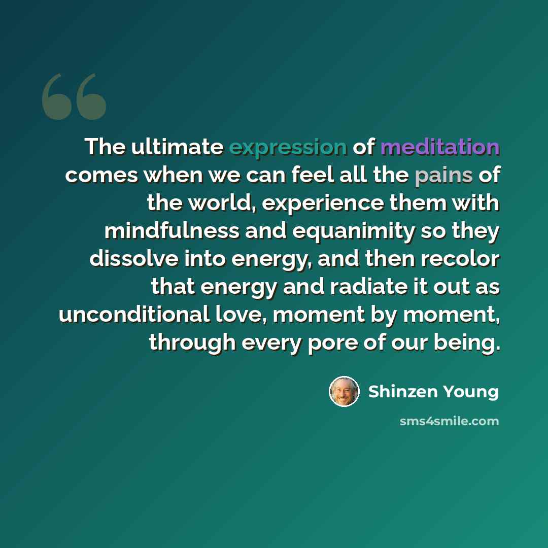 “The ultimate expression of meditation comes when we can feel all the pains of the world, experience them with mindfulness and equanimity so they dissolve into energy, and then recolor that energy and radiate it out as unconditional love, moment by moment, through every pore of our being.” quote by Shinzen Young