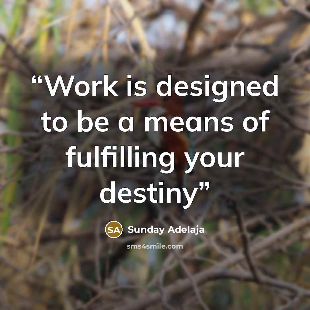 “Work is designed to be a means of fulfilling your destiny” quote by Sunday Adelaja