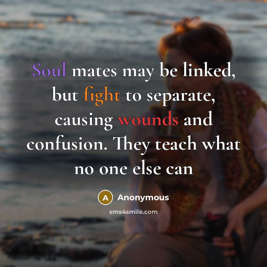 “Soul mates may be linked, but fight to separate, causing wounds and confusion. They teach what no one else can” quote by Anonymous