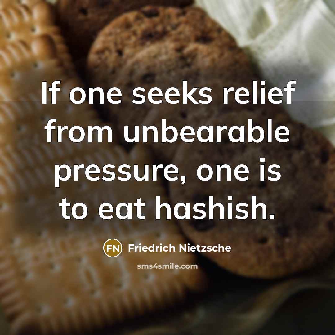 “If one seeks relief from unbearable pressure, one is to eat hashish.” quote by Friedrich Nietzsche