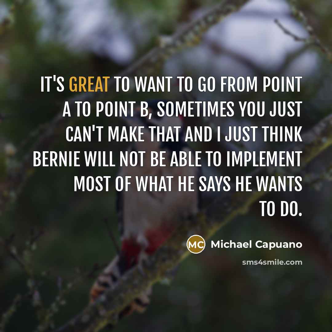 “It's great to want to go from point A to point B, sometimes you just can't make that and I just think Bernie will not be able to implement most of what he says he wants to do.” quote by Michael Capuano