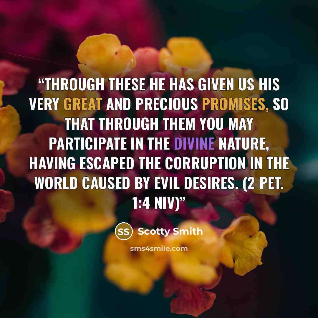 “Through these he has given us his very great and precious promises, so that through them you may participate in the divine nature, having escaped the corruption in the world caused by evil desires. (2 Pet. 1:4 NIV)” quote by Scotty Smith