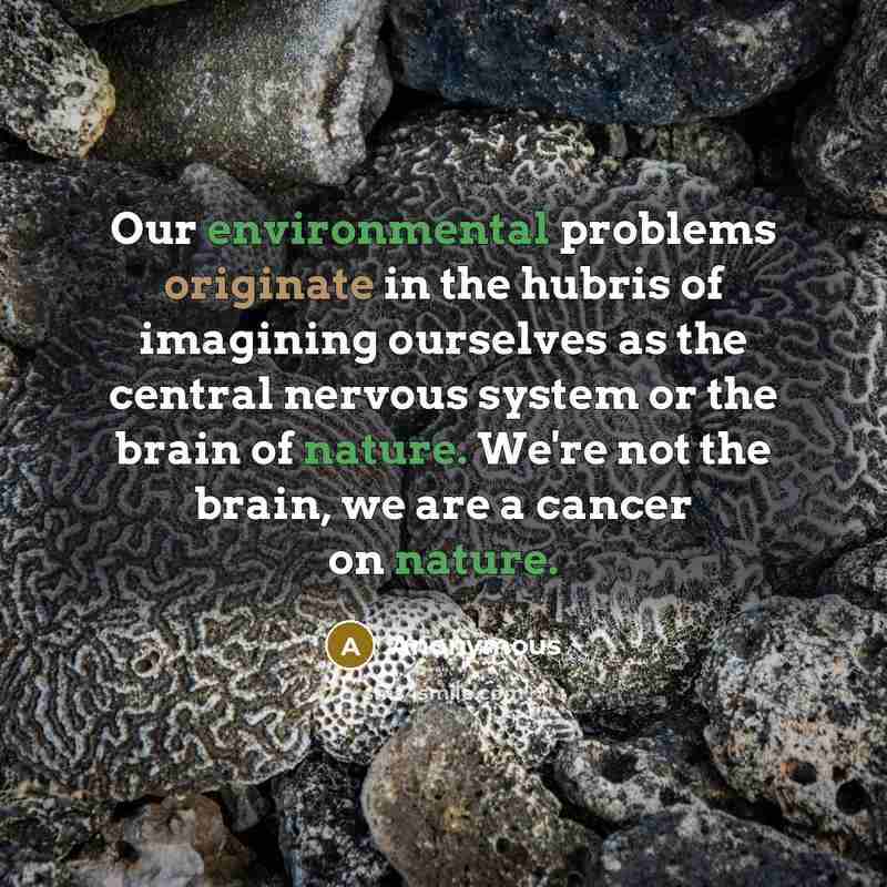 “Our environmental problems originate in the hubris of imagining ourselves as the central nervous system or the brain of nature. We're not the brain, we are a cancer on nature.” quote by Anonymous