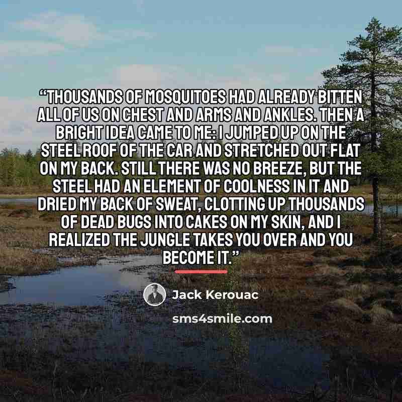 “Thousands of mosquitoes had already bitten all of us on chest and arms and ankles. Then a bright idea came to me: I jumped up on the steel roof of the car and stretched out flat on my back. Still there was no breeze, but the steel had an element of coolness in it and dried my back of sweat…” quote by Jack Kerouac