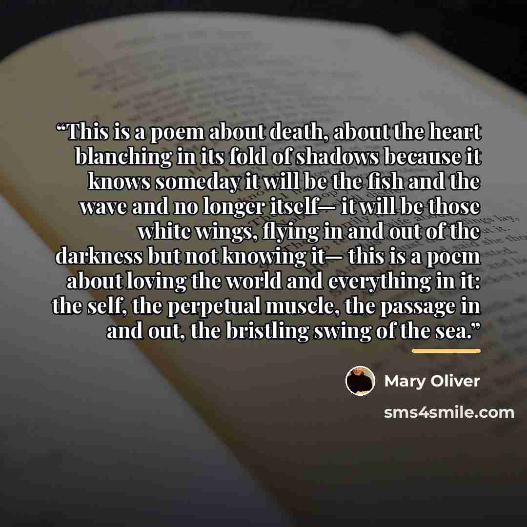 “This is a poem about death, about the heart blanching in its fold of shadows because it knows someday it will be the fish and the wave and no longer itself— it will be those white wings, flying in and out of the darkness but not knowing it— this is a poem about loving the world and everything in…” quote by Mary Oliver