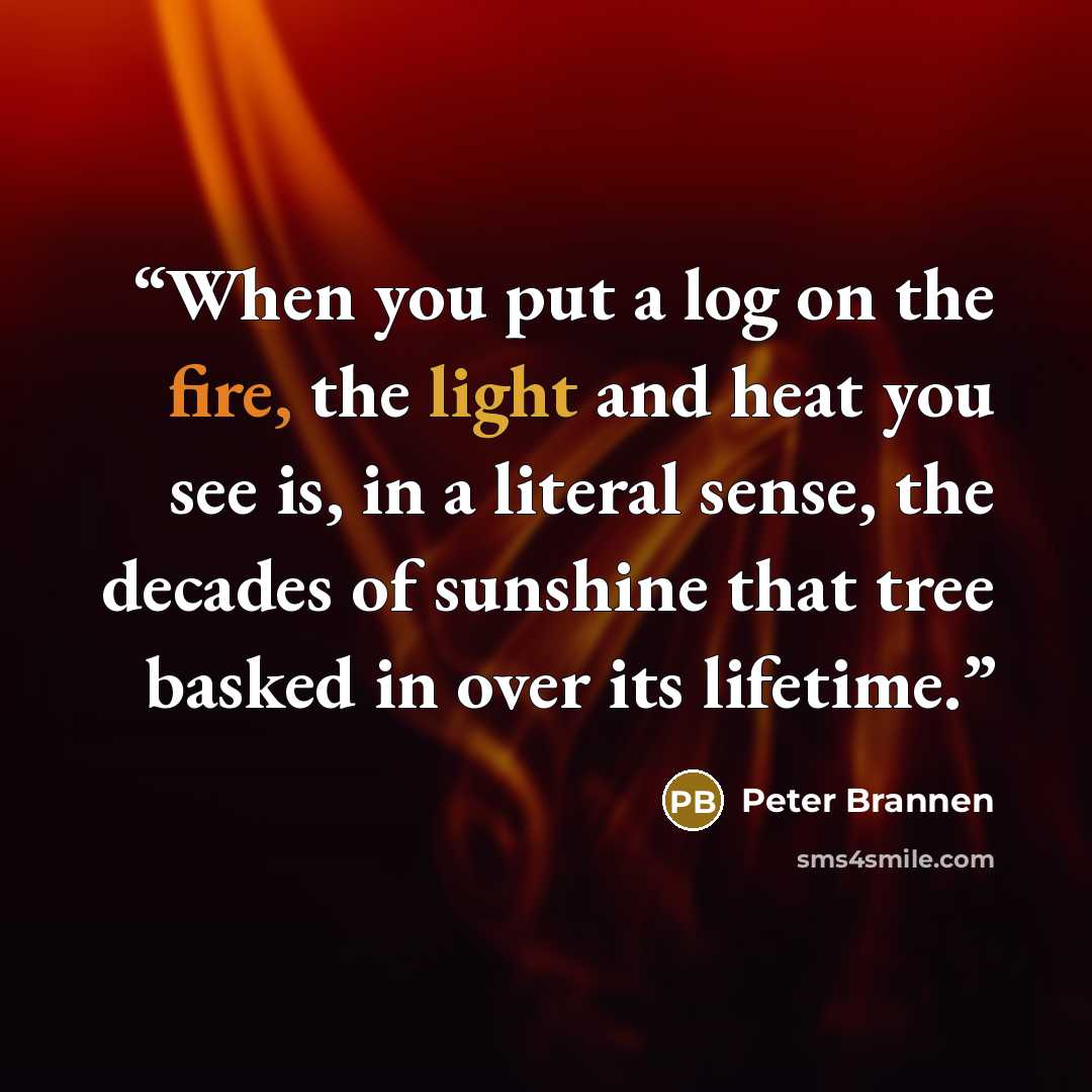 “When you put a log on the fire, the light and heat you see is, in a literal sense, the decades of sunshine that tree basked in over its lifetime.” quote by Peter Brannen