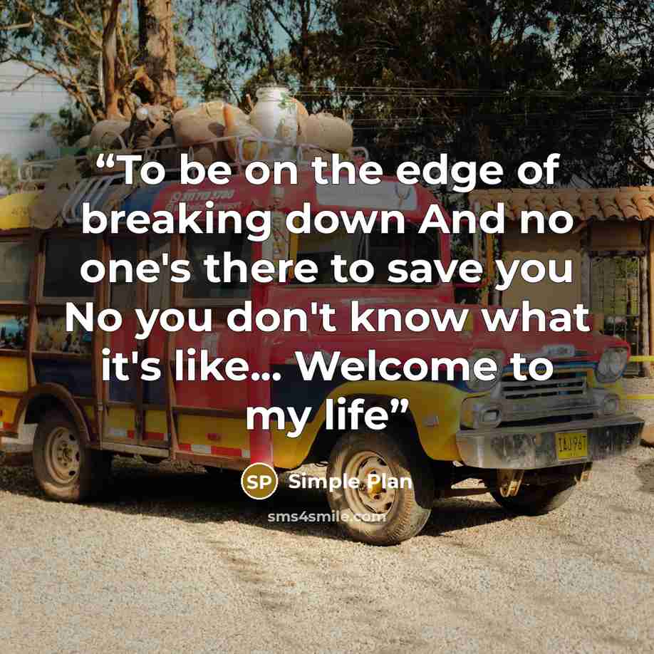 “To be on the edge of breaking down And no one's there to save you No you don't know what it's like... Welcome to my life” quote by Simple Plan