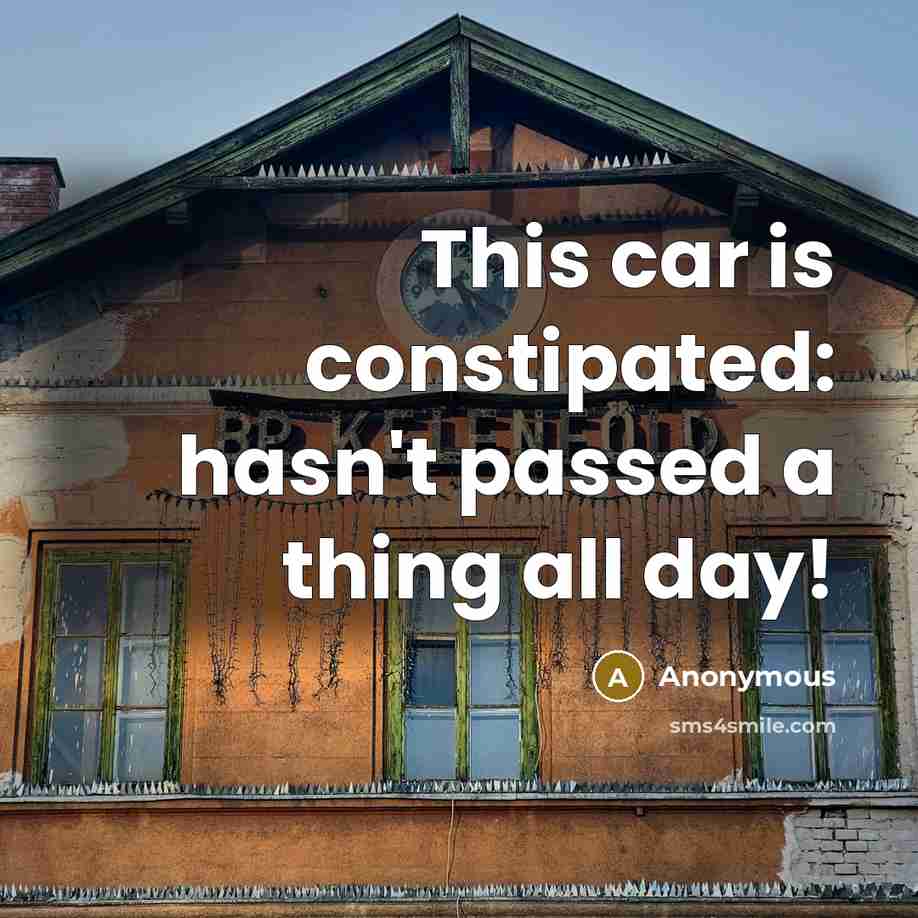 “This car is constipated: hasn't passed a thing all day!” quote by Anonymous