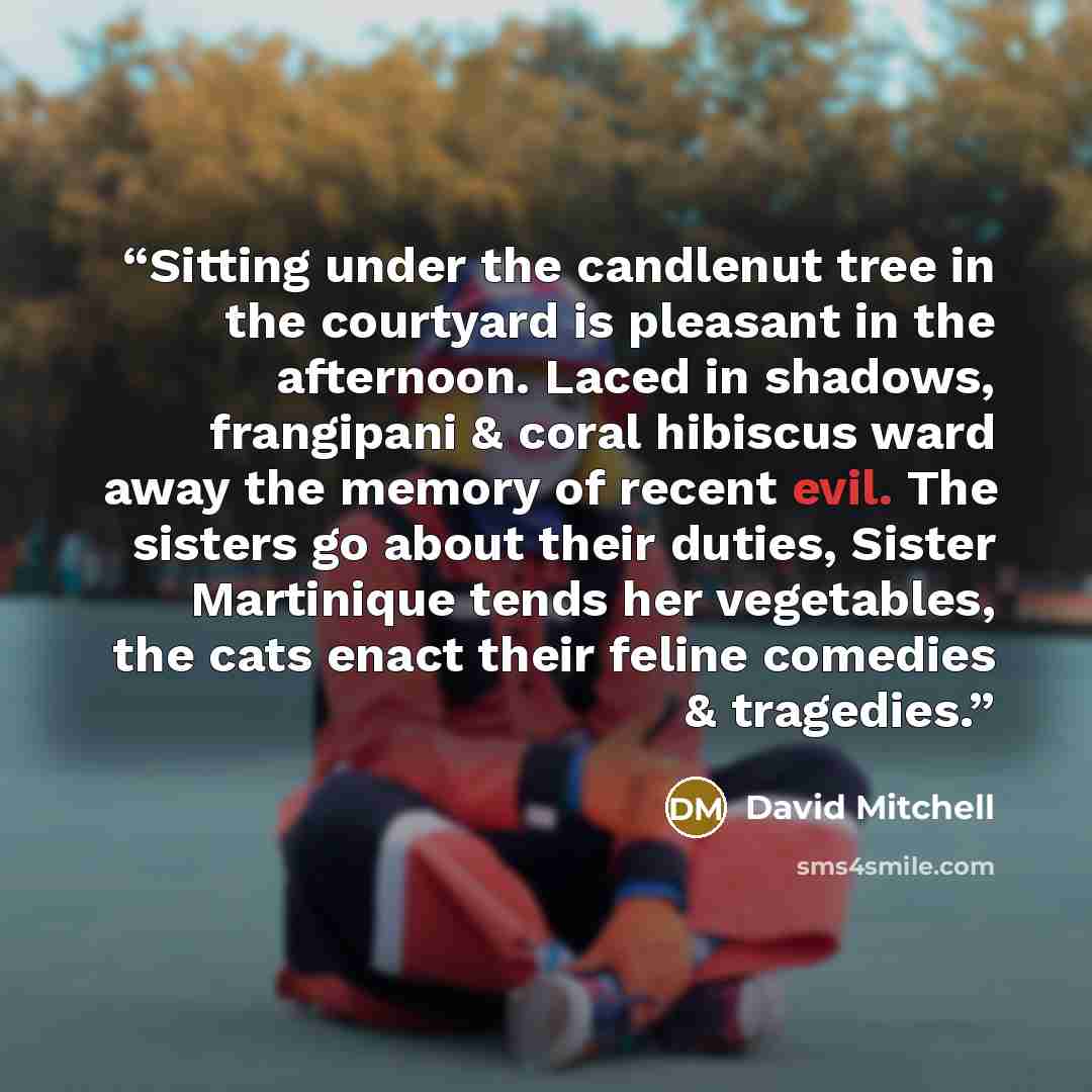 “Sitting under the candlenut tree in the courtyard is pleasant in the afternoon. Laced in shadows, frangipani & coral hibiscus ward away the memory of recent evil. The sisters go about their duties, Sister Martinique tends her vegetables, the cats enact their feline comedies & tragedies.” quote by David Mitchell