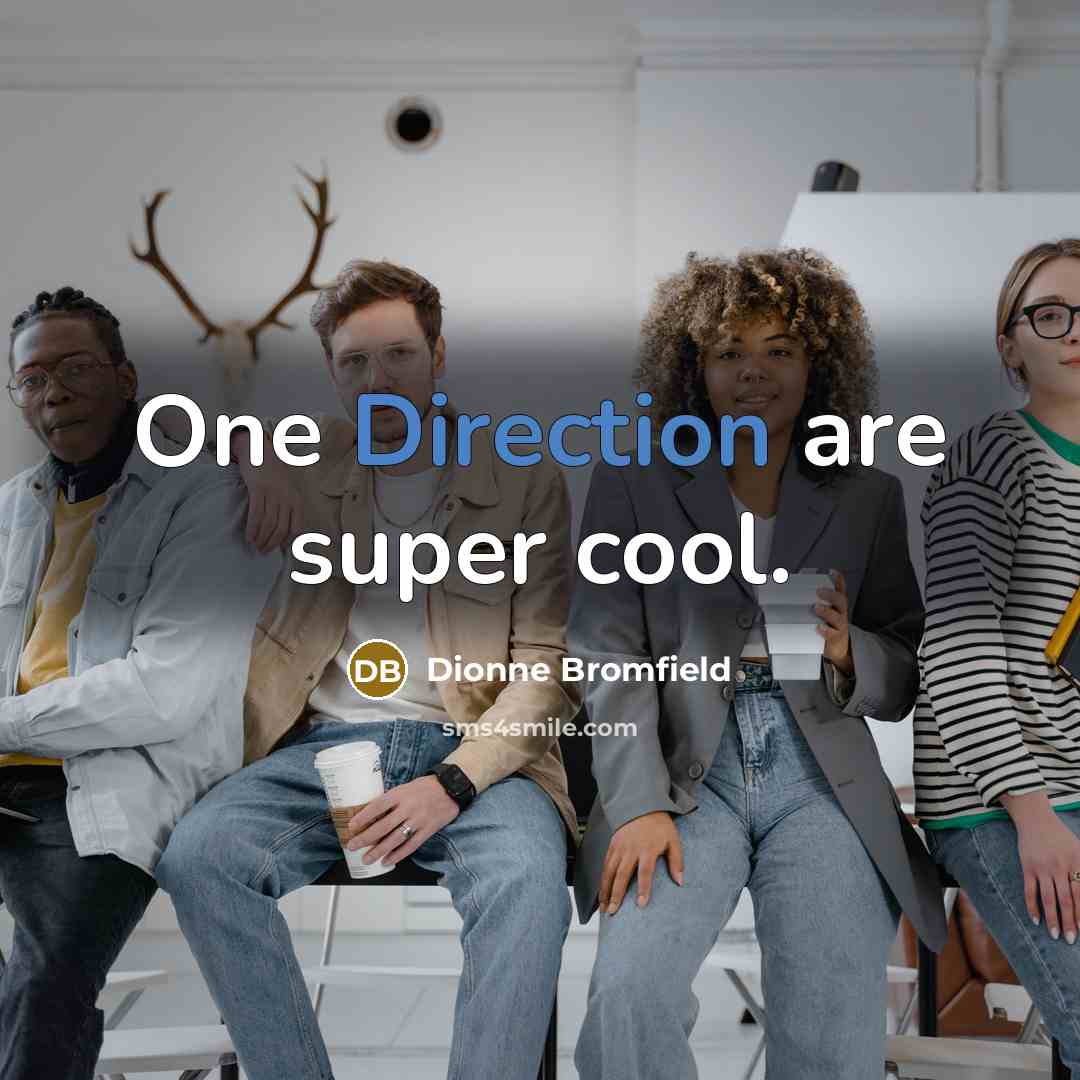 “One Direction are super cool.” quote by Dionne Bromfield