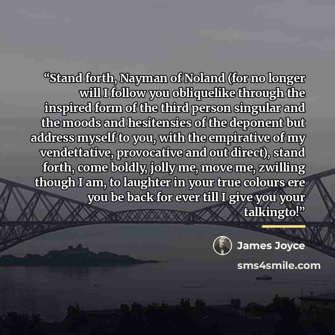 “Stand forth, Nayman of Noland (for no longer will I follow you obliquelike through the inspired form of the third person singular and the moods and hesitensies of the deponent but address myself to you, with the empirative of my vendettative, provocative and out direct), stand forth, come boldly…” quote by James Joyce
