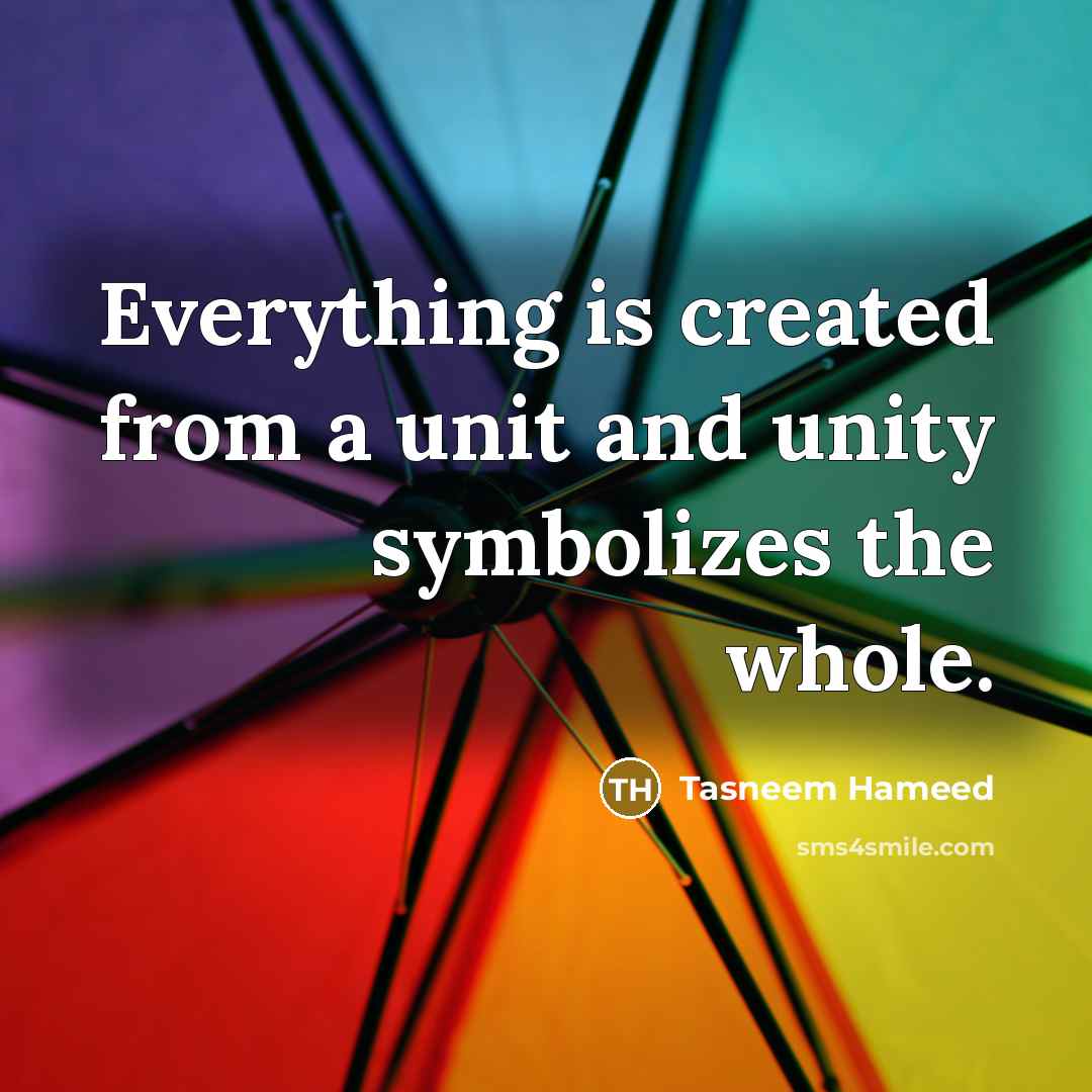 “Everything is created from a unit and unity symbolizes the whole.” quote by Tasneem Hameed