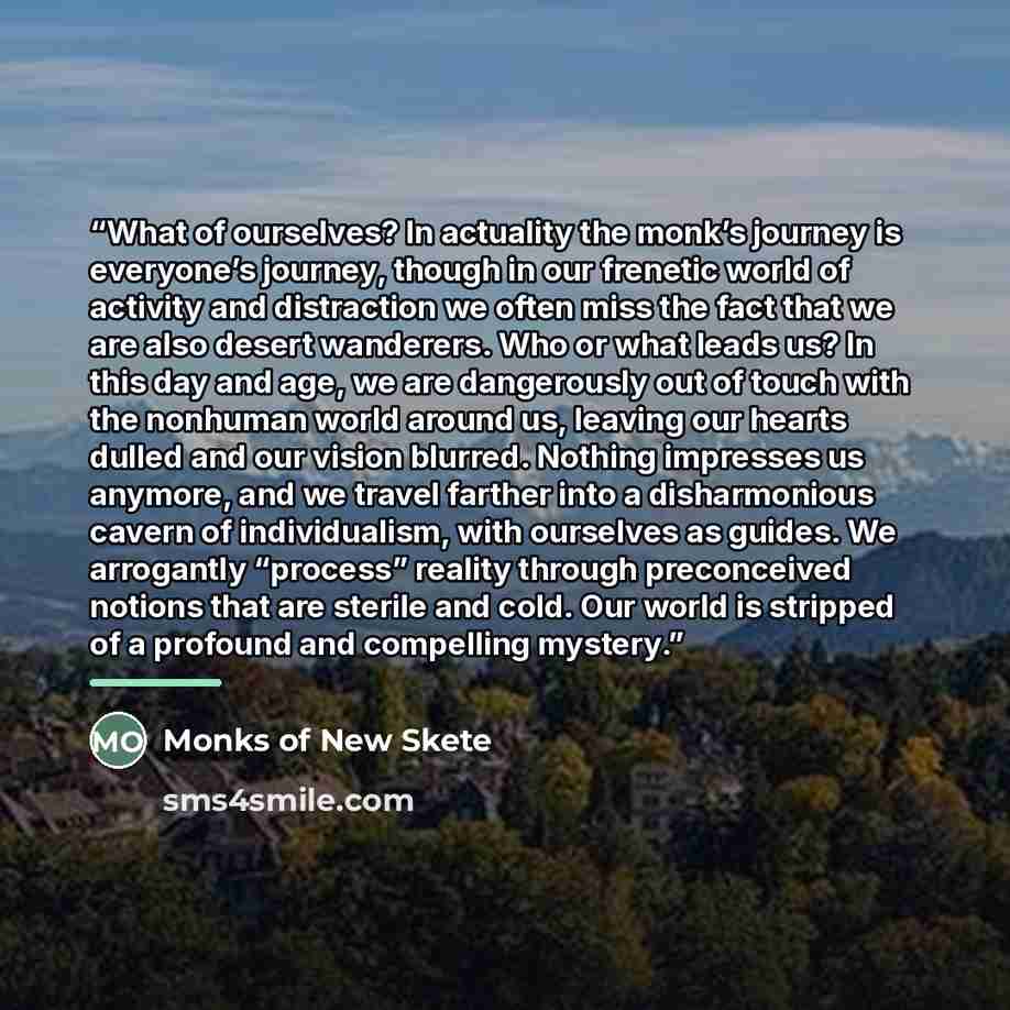 “What of ourselves? In actuality the monk’s journey is everyone’s journey, though in our frenetic world of activity and distraction we often miss the fact that we are also desert wanderers. Who or what leads us? In this day and age, we are dangerously out of touch with the nonhuman world around us…” quote by Monks of New Skete
