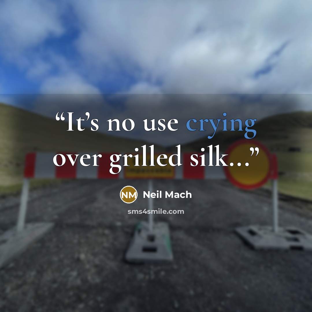“It’s no use crying over grilled silk...” quote by Neil Mach