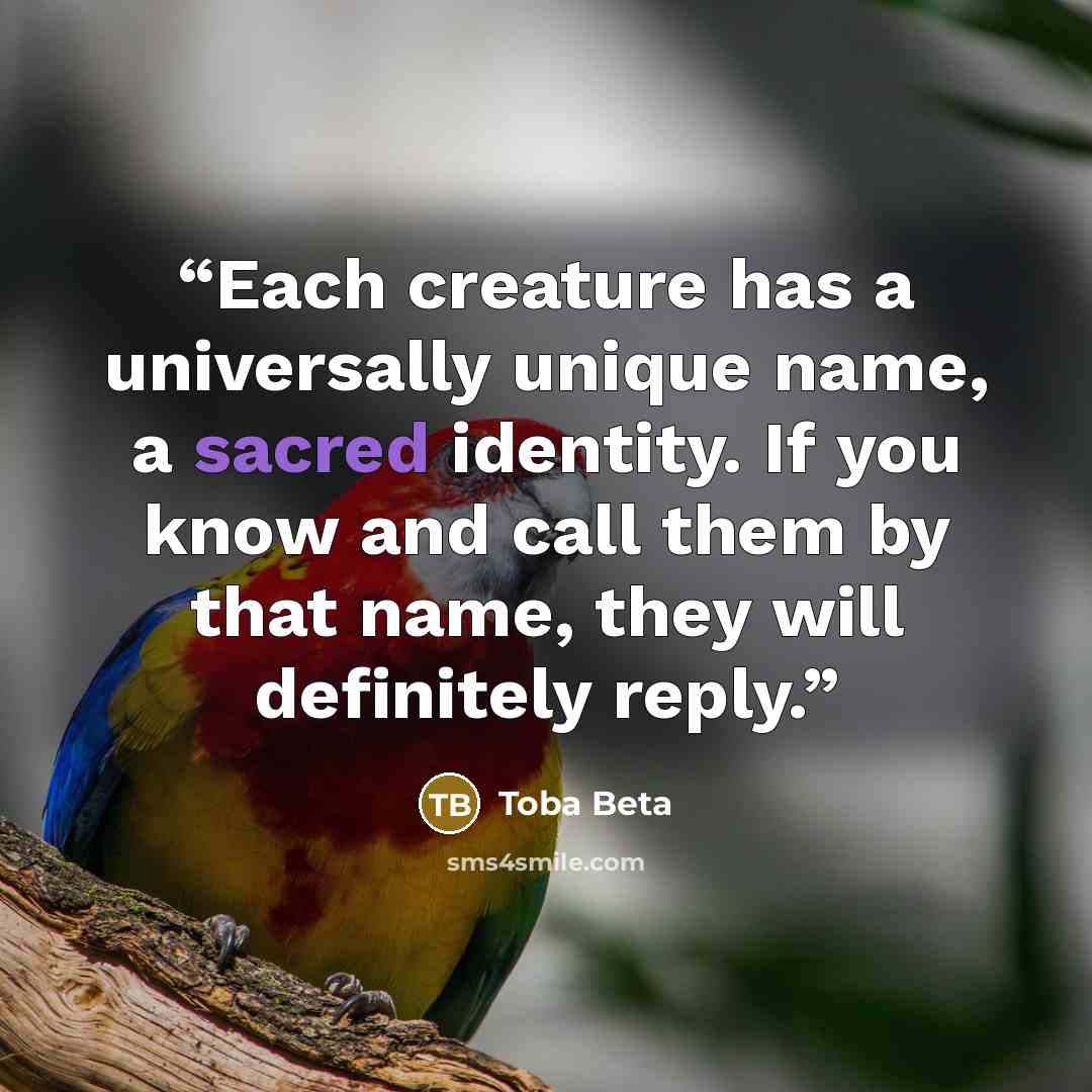 “Each creature has a universally unique name, a sacred identity. If you know and call them by that name, they will definitely reply.” quote by Toba Beta