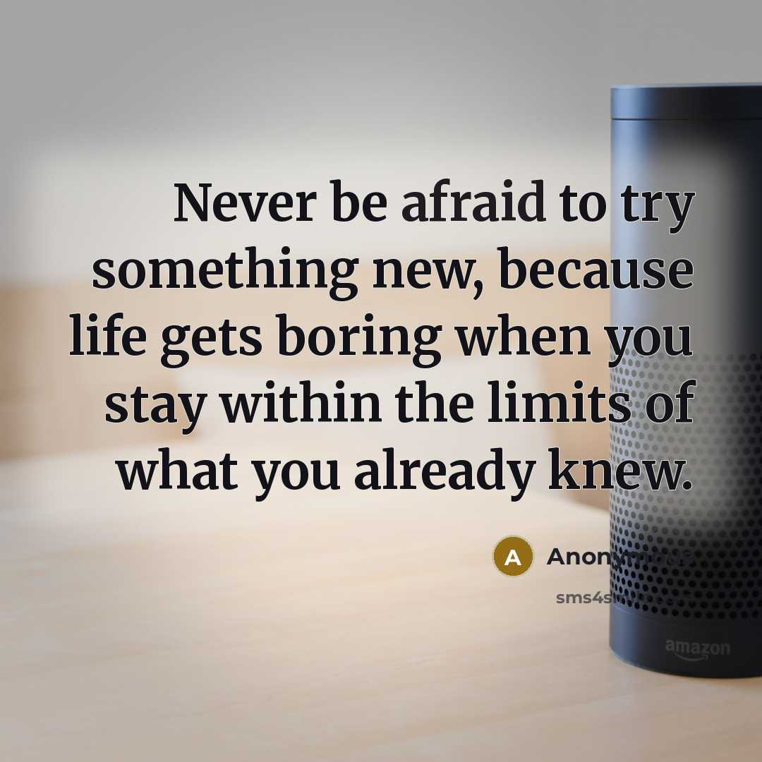 “Never be afraid to try something new, because life gets boring when you stay within the limits of what you already knew.” quote by Anonymous