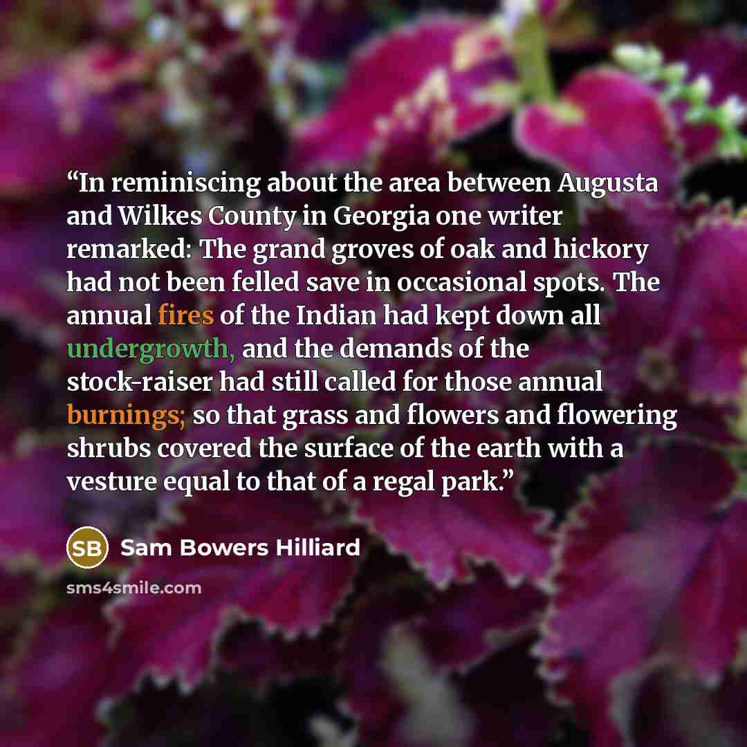“In reminiscing about the area between Augusta and Wilkes County in Georgia one writer remarked: The grand groves of oak and hickory had not been felled save in occasional spots. The annual fires of the Indian had kept down all undergrowth, and the demands of the stock-raiser had still called for…” quote by Sam Bowers Hilliard