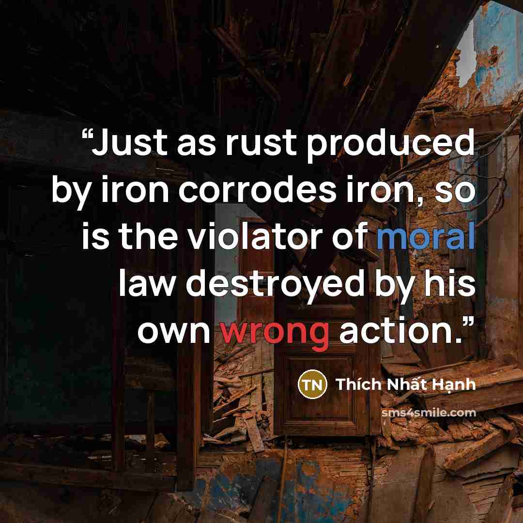 “Just as rust produced by iron corrodes iron, so is the violator of moral law destroyed by his own wrong action.” quote by Thích Nhất Hạnh