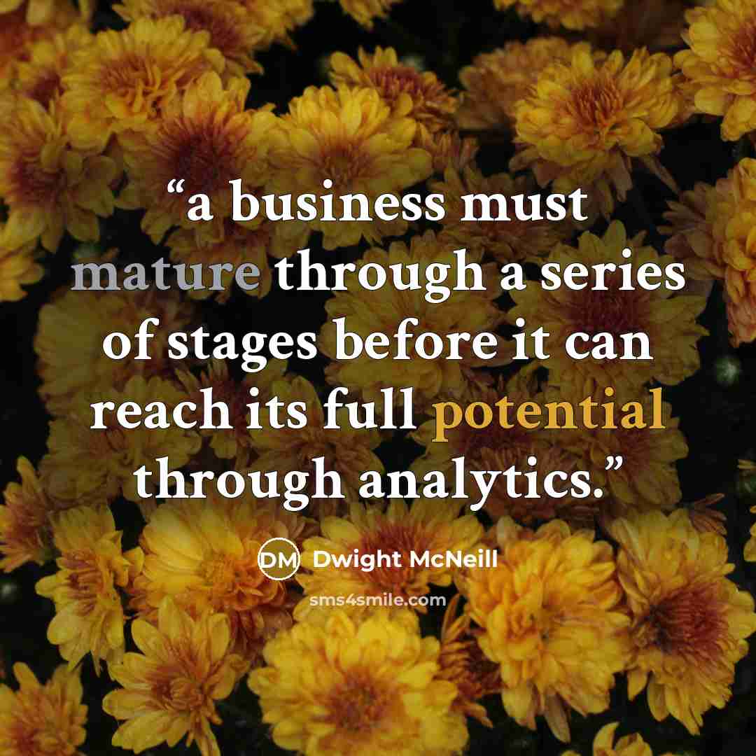 “a business must mature through a series of stages before it can reach its full potential through analytics.” quote by Dwight McNeill