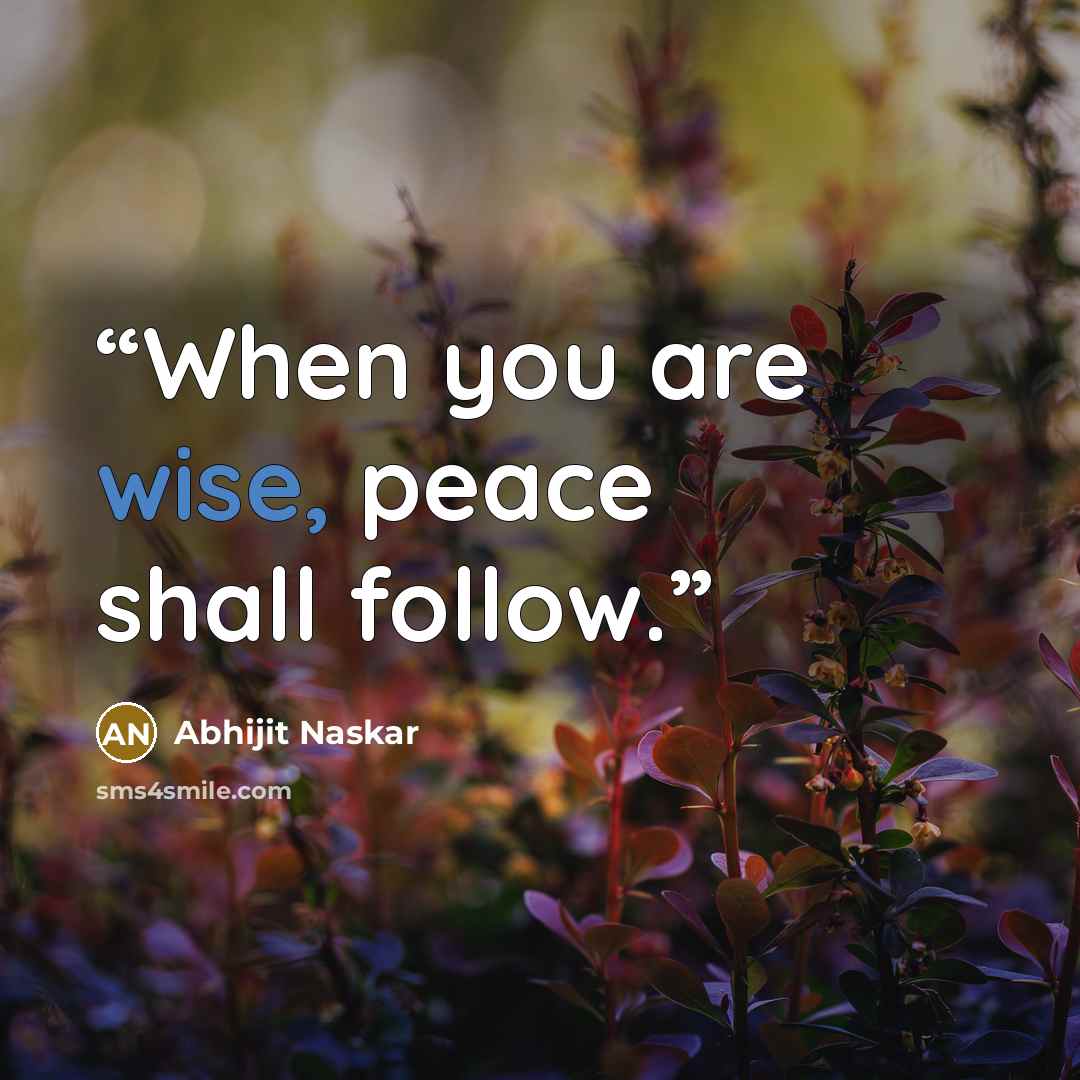 “When you are wise, peace shall follow.” quote by Abhijit Naskar