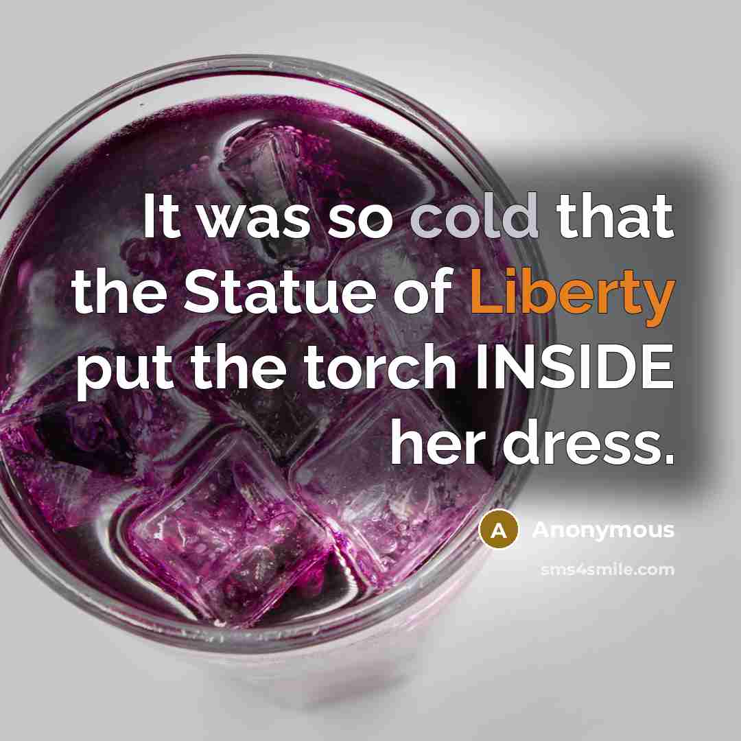 “It was so cold that the Statue of Liberty put the torch INSIDE her dress.” quote by Anonymous